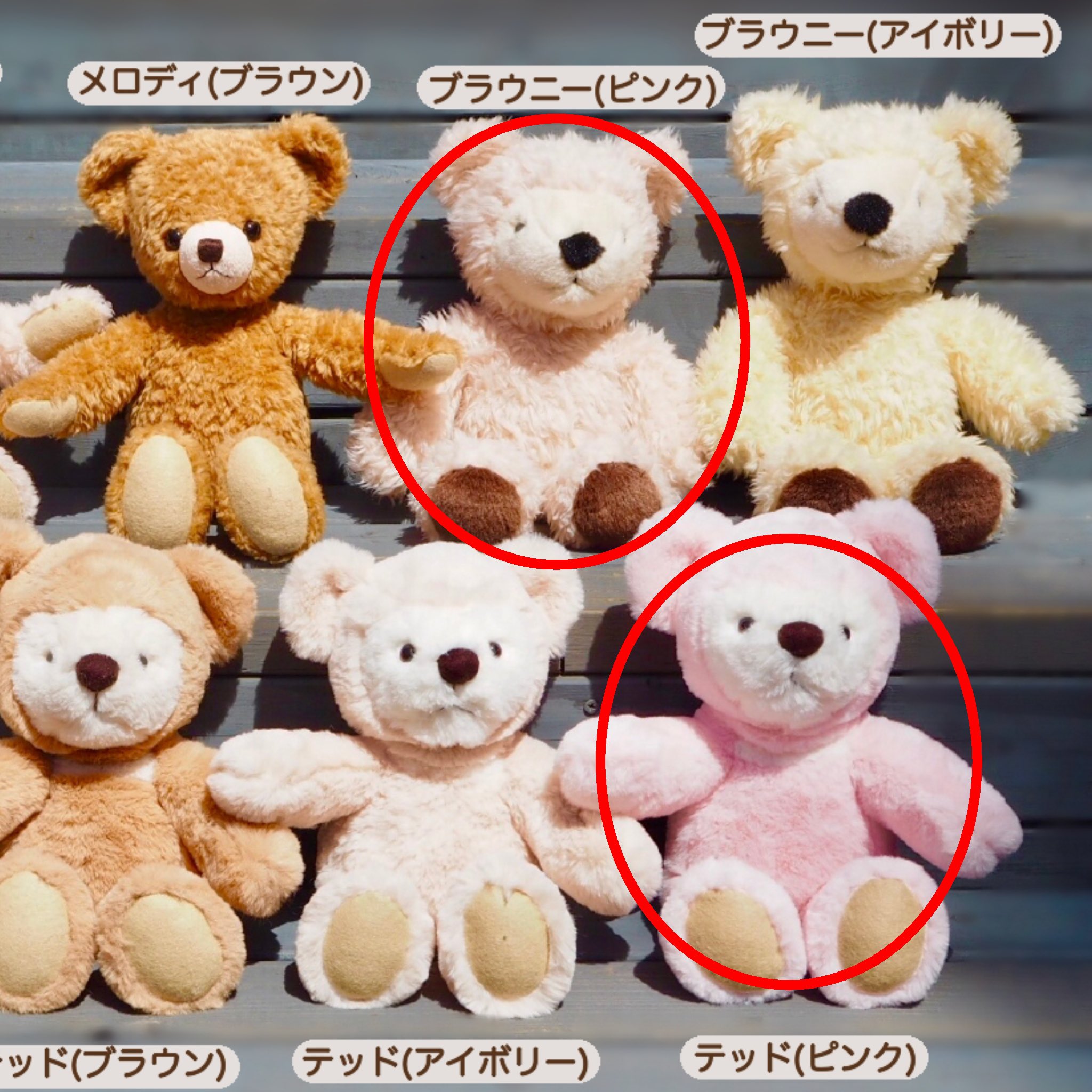 なんでも鑑定団よりも驚き！ 伊豆テディベア・ミュージアム【公式】 على  X: ぬいぐるみ