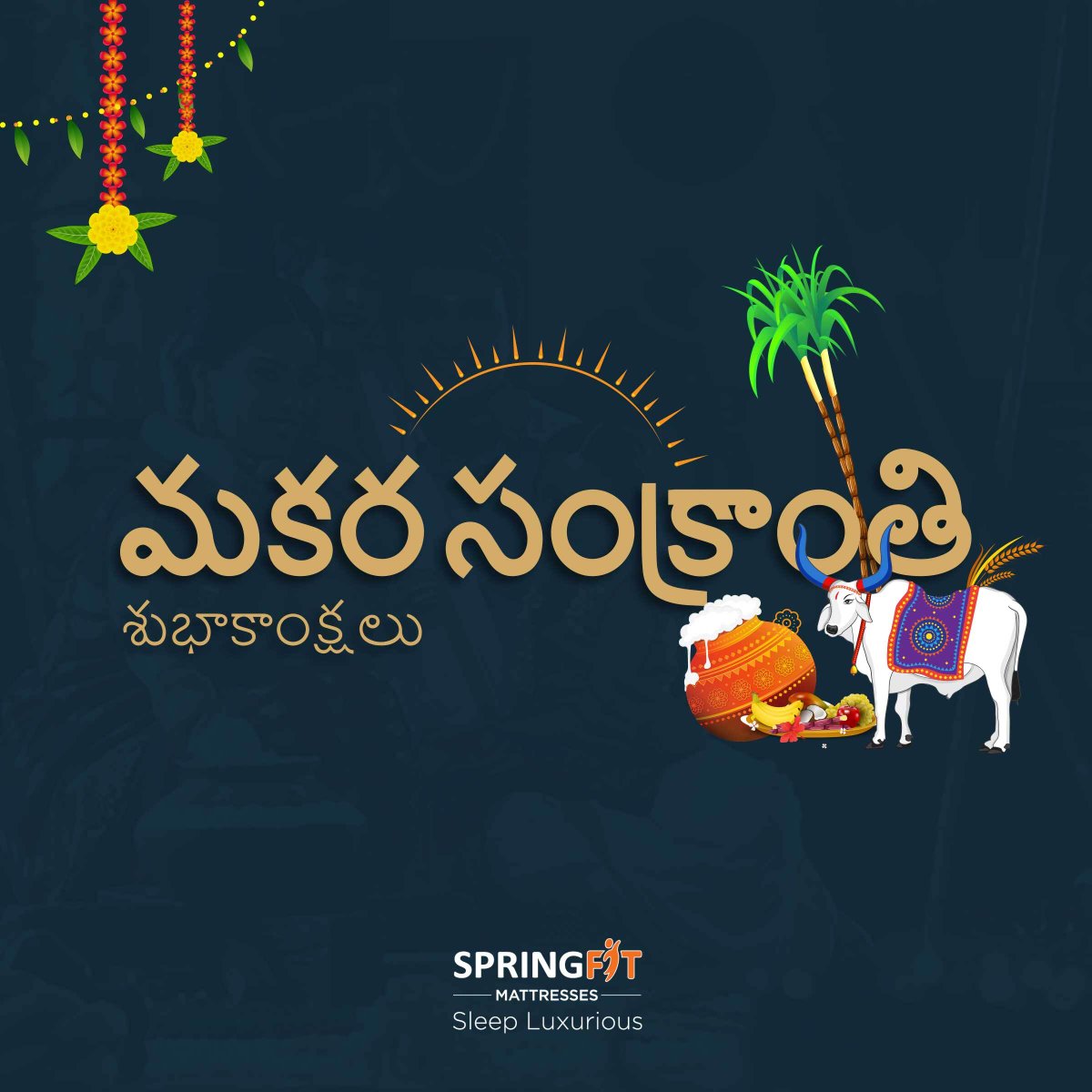 SpringfitSleep's tweet photo. 𝗢𝗻 𝘁𝗵𝗲 𝗮𝘂𝘀𝗽𝗶𝗰𝗶𝗼𝘂𝘀 𝗼𝗰𝗰𝗮𝘀𝗶𝗼𝗻 𝗠𝗮𝗸𝗮𝗿 𝗦𝗮𝗻𝗸𝗿𝗮𝗻𝘁𝗶 #Springfit 𝘄𝗶𝘀𝗵𝗲𝘀 𝘆𝗼𝘂 𝗶𝗺𝗺𝗲𝗻𝘀𝗲 𝗽𝗹𝗲𝗮𝘀𝘂𝗿𝗲 𝗮𝗻𝗱 𝗵𝗮𝗽𝗽𝗶𝗻𝗲𝘀𝘀.
#happymakarsankranti #Springfit #Springfitmattresses #luxurymattress #Springfitluxurymattress https://t.co/nQ2V83Y9DL