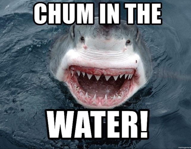 AmberMumphrey's tweet photo. @OfficeOfMike A great white with https://t.co/DddUTJACgR