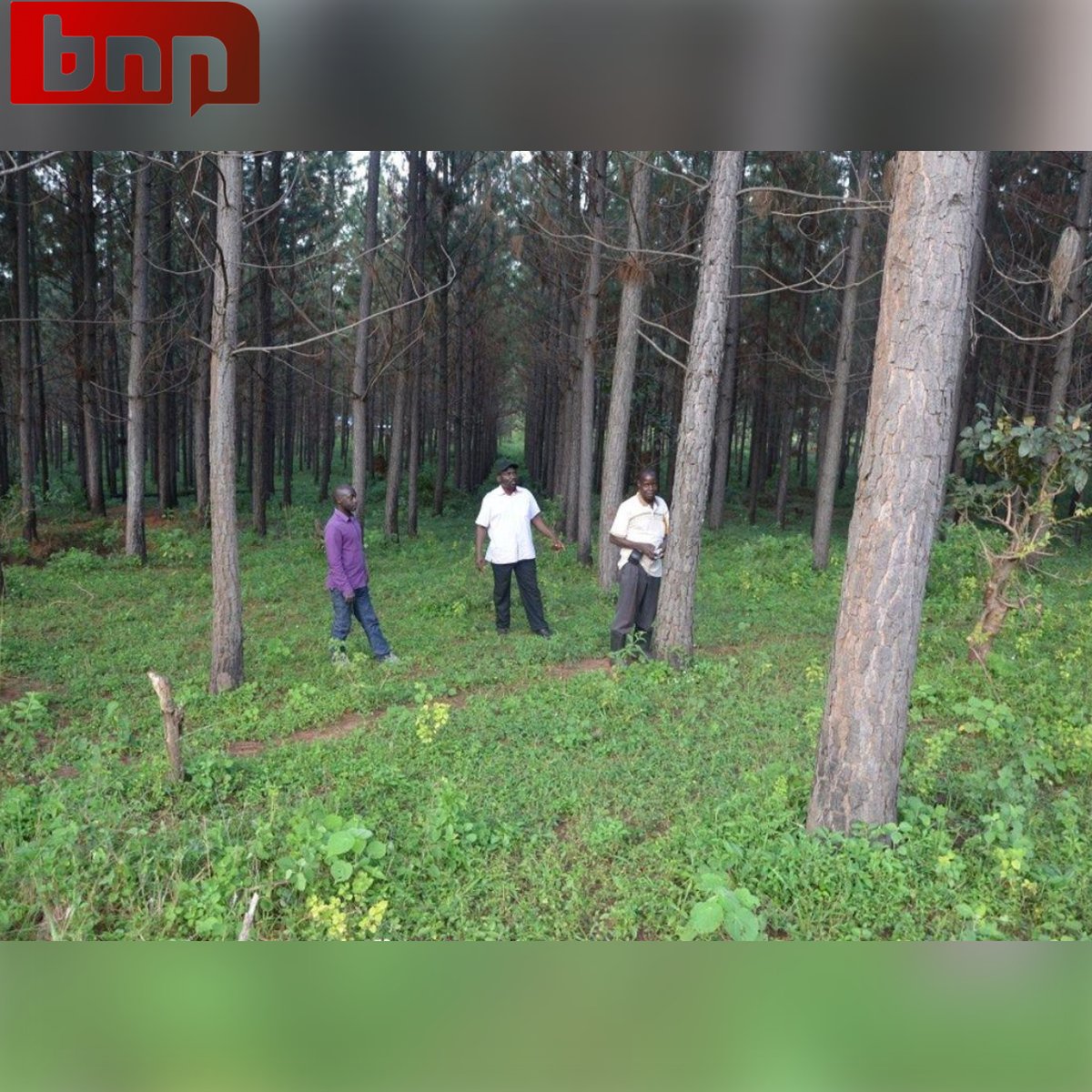 BREAKING: #BNNUganda Reports. 

Leaders in Masaka City have rejected a proposal by the Kimanya/Kabonera Division to degazette the Kumbu forest reserve for development projects. 

#Uganda #Masaka #Kumbu #ForestReserve #Politics