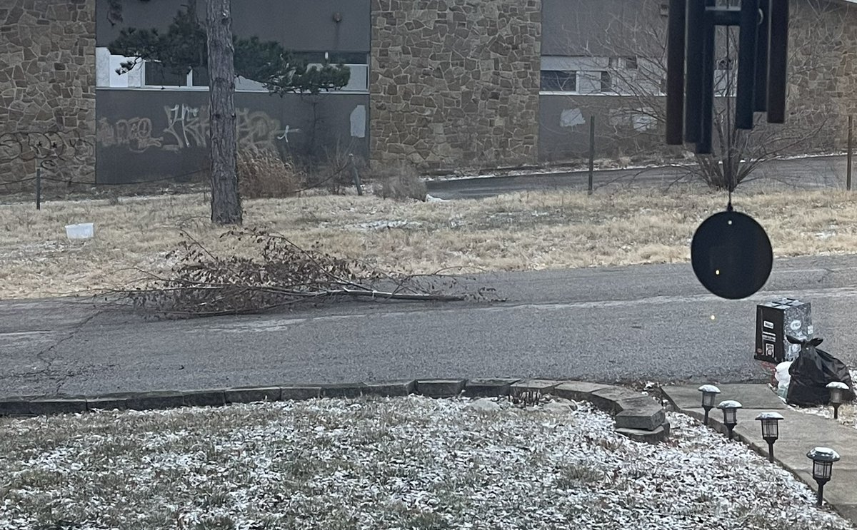 IrelandMD's tweet photo. @KCMO311 the below branch was dragged onto E. 82nd Street by a recycling truck during trash pick-up this morning.  It is a large limb now in the middle of the street. https://t.co/YLXW5WwbAY