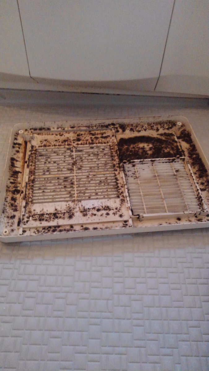 clean_tokyo1's tweet photo. 係の換気扇です。あ、係の佐吉です。メンバーから画像が届きました。お風呂場の換気扇、中はどうなってるのだろうの？カビが生えていないだろうか？などなど。開けてみるとやっぱり。そして、キレイになりました。 https://t.co/7F4biYV1UY
