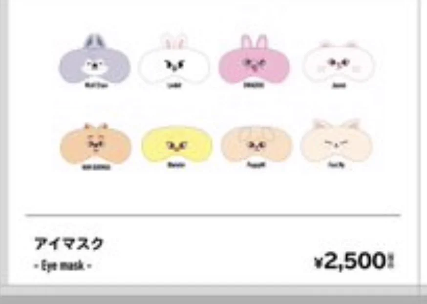 Stray Kids Japan Official on X: 