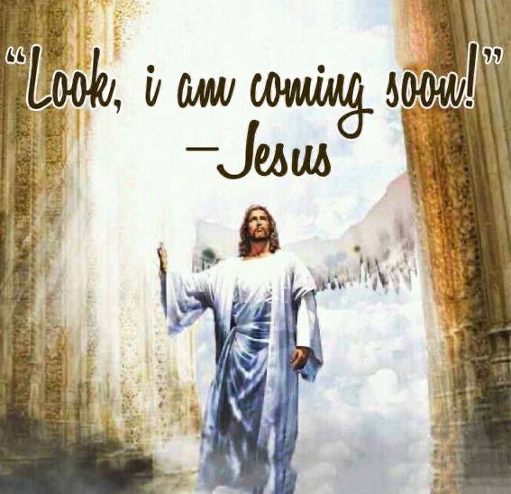 ChristIsComing5's tweet photo. BY THE WORD OF THE LORD….

The dead are risen.
The living are taken. 
The rapture is coming!

“For this we say unto you by the word of the Lord, that we which are alive and remain unto the coming of the Lord shall not prevent them which are asleep.” https://t.co/4J4T9i3Nuv