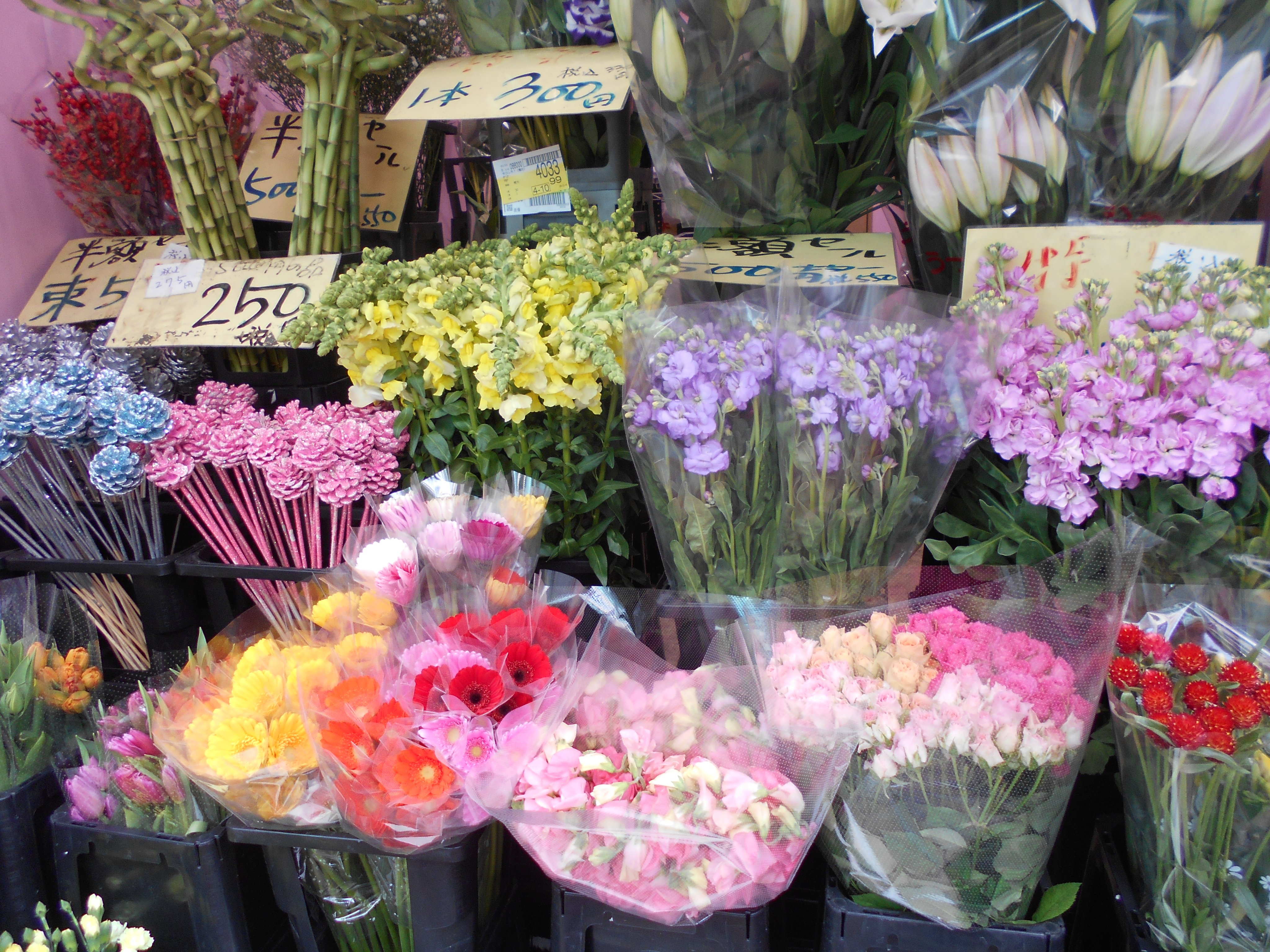 フラワーマルシェ Flowermarche01 Twitter