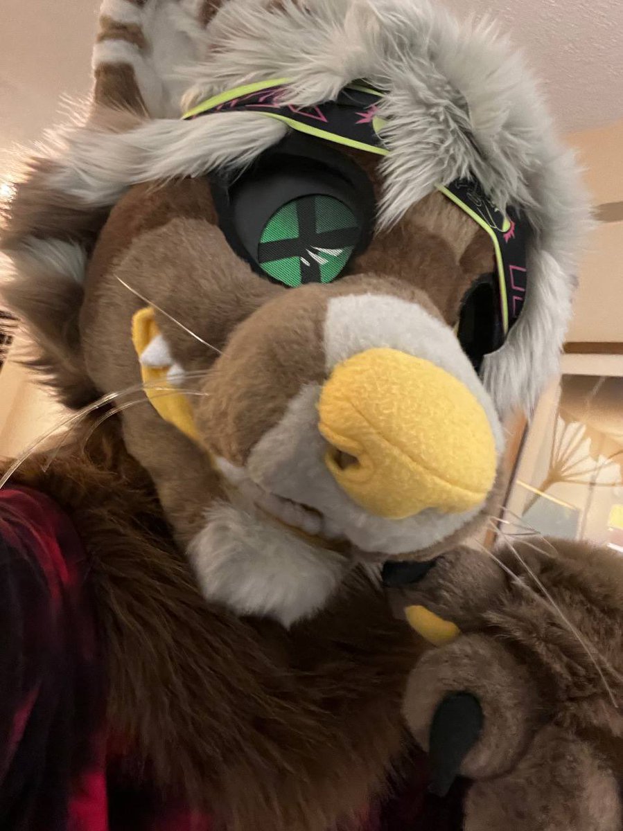 MustelidMaws's tweet photo. how to find me at #fc2023 !! 

#arresteddevelopment #michaelbluth #furry https://t.co/zGDzCfJoxb