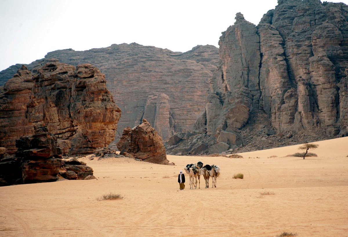صحيفة نيويورك تايمز الأمريكية تصنف صحراء طاسيلي ناجر الجزائرية في المركز الـ22، ضمن قائمة لـ52 مكان حول العالم يجب زيارته خلال 2023! 

الصحراء الجزائرية احتلت المركز الثالث إفريقيًا والأول عربيًا بذات القائمة. 

#الشان_في_بلاد_الشان 
#Welcome_to_Algeria 
#الجزائر 🇩🇿