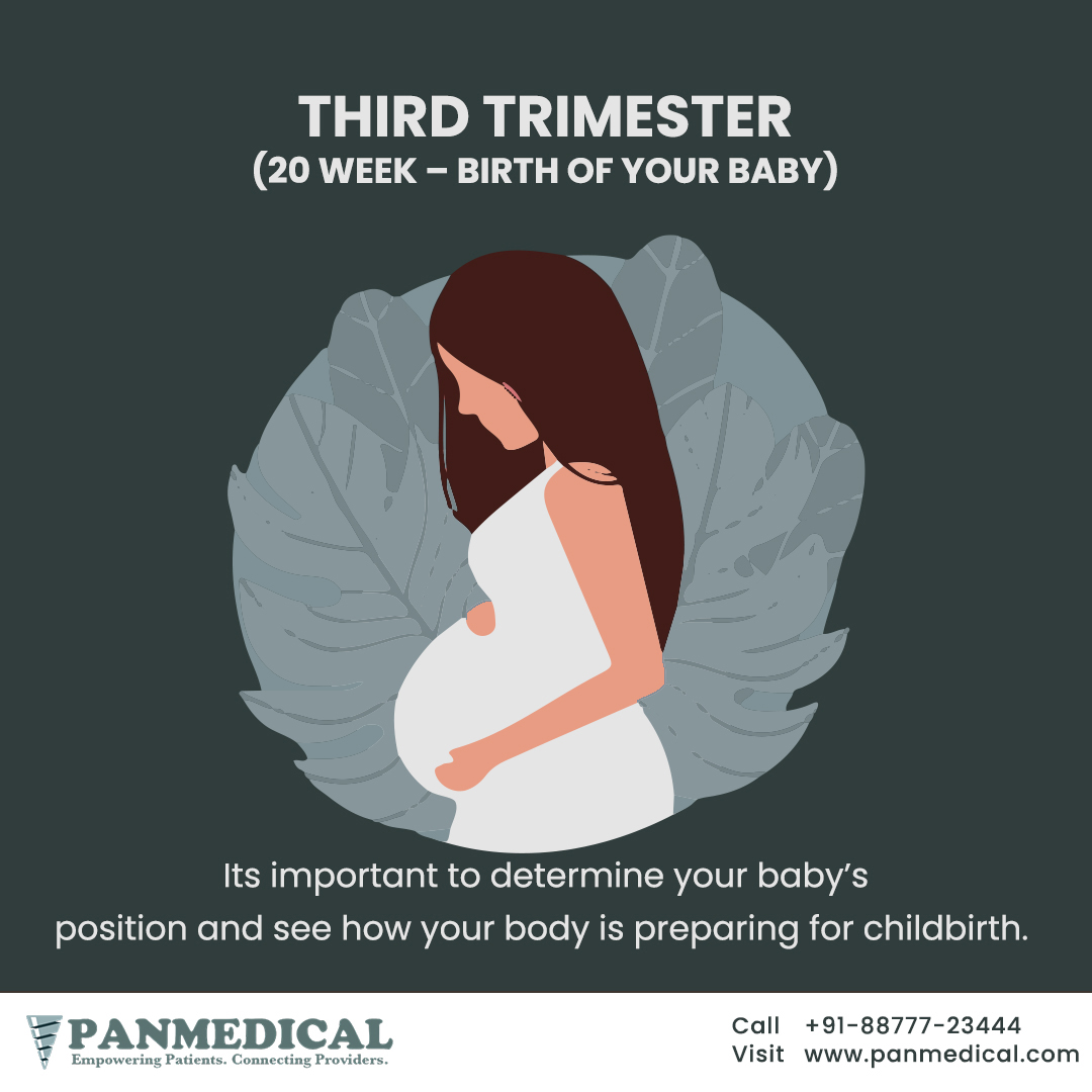 Pregnancy Stages Everything You Wanted To Know.

Consult top gynaecologist 

WA - +91-88777-23444.
panmedical.com 

#panmedical #doctor #online #pregnancy #pregnant #babybump #momtobe #maternity #mommytobe #preggo #pregnantbelly #bump #babybelly #newborn #pregnantlife