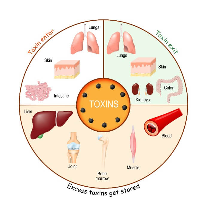 CentreSpringMD's tweet image. Understanding Body Detoxification - centrespringmd.com/understanding-…