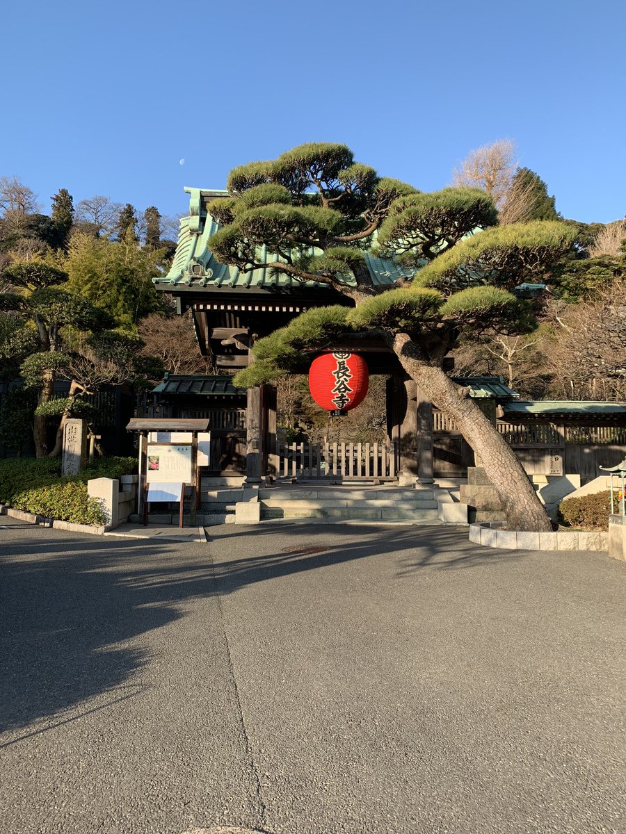 conana7787's tweet photo. 本日お休みだったので初詣へ。7日とか15日までとか言われてるけどどっちが正解かいまいち分からずですが(^◇^;)毎年自分の中で決まってる長谷寺へ行ってきました。素敵な休日になって幸せでしたっ。 https://t.co/w18TYFWyaf