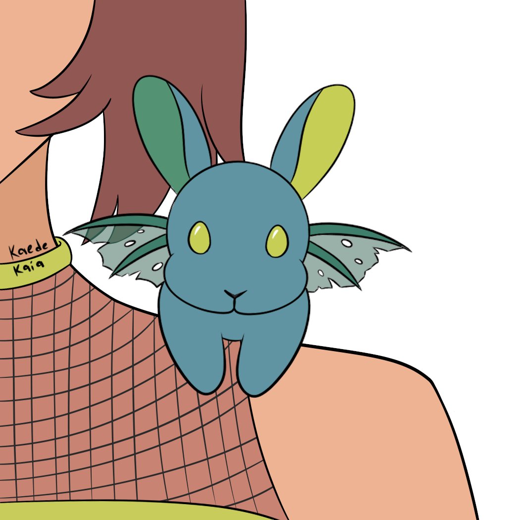 Kaede 🐍 tweet media