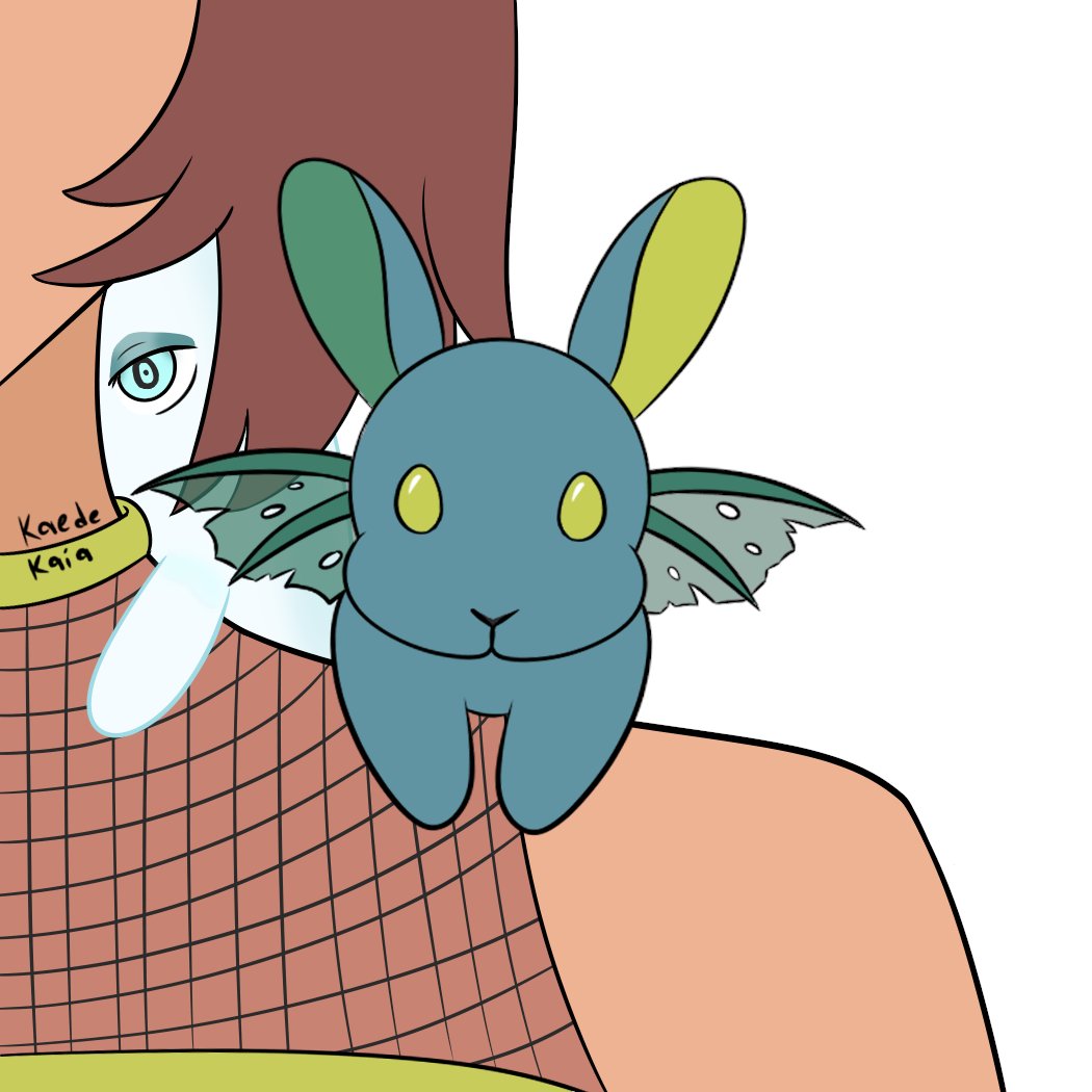 Kaede 🐍 tweet media