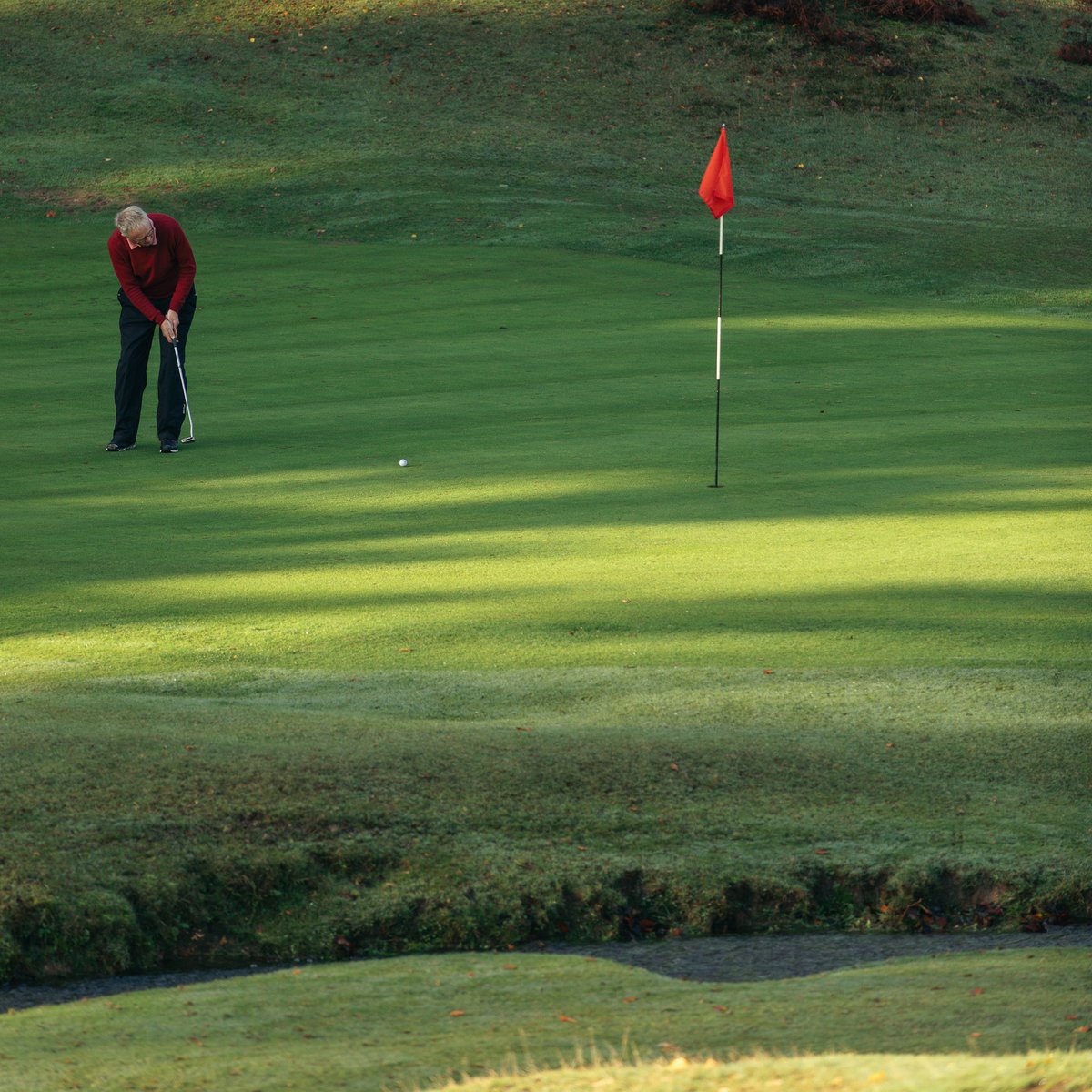 Finally some welcome sunshine out on the Forest course this morning! ☀️🌳 

Enjoy great value golf on the oldest course in Hampshire from just £20 per round this winter. Book visitor tee times.👇  

bit.ly/335LNMw

#newforestgolf #hampshiregolf #wintergolf #newforestlife