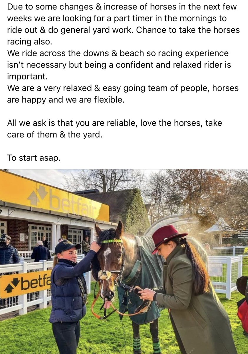 Due to a few changes and increase in horses we are now looking for some to work part time in the mornings, duties will include riding out and general yard duties with the chance to go racing!! Must be a confident rider. 
We are a very relaxed and easy going team. Message for info