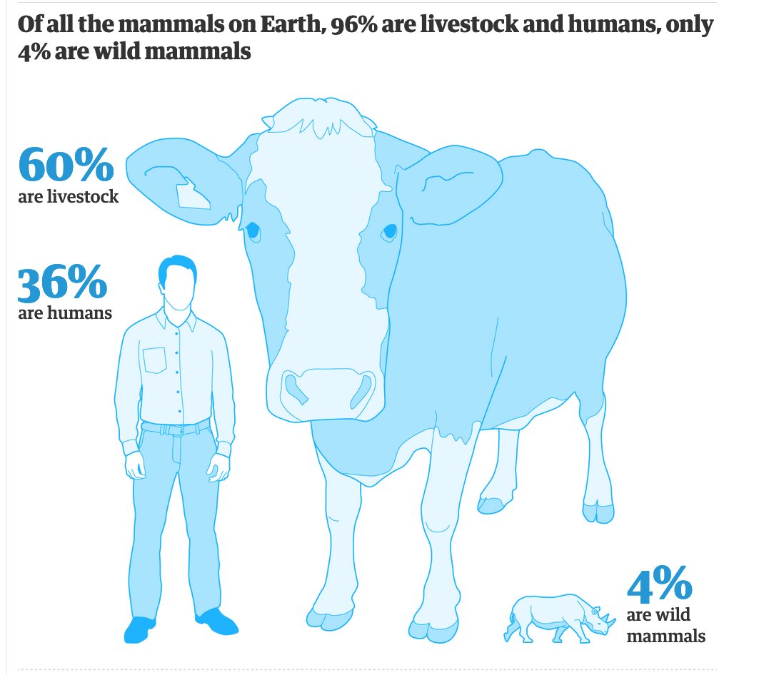 La gente que está diciendo que la natalidad humana debería aumentar, y la gente que está diciendo que hay plagas de zorros, de conejos, de corzos, de palomas, etc, no entiende nada de ecología.