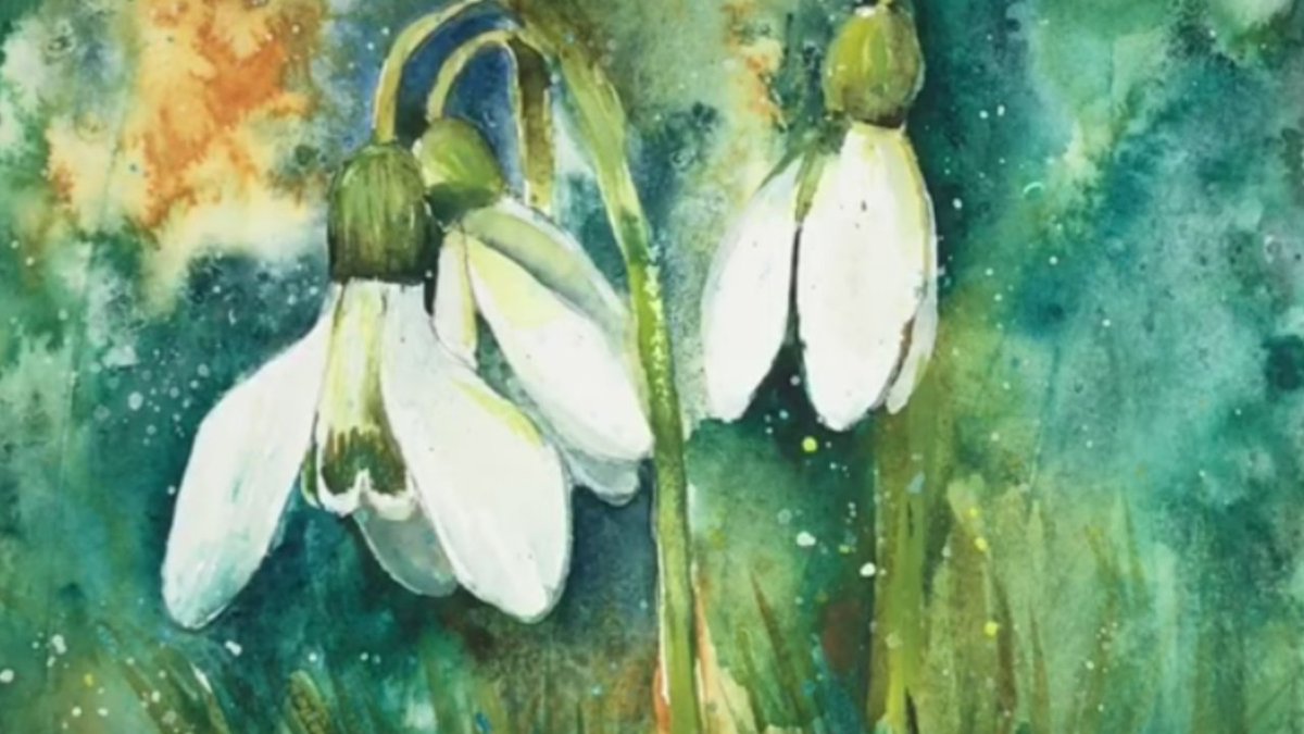 Check out my latest YouTube tutorial of beautiful snowdrops in watercolour #watercolor #watercolour #watercolourpainting #watercolorbeginners #watercolorflowersl #watercolorlesson #watercoloursnowdrops #watercolourflorals #watercolorKarenRice #watercolorart #watercolourart