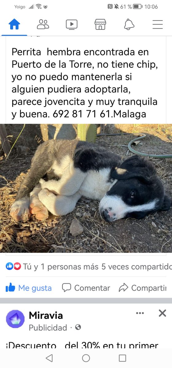 Por favor difundir
😢 🆘 📢 📢 📢 📢