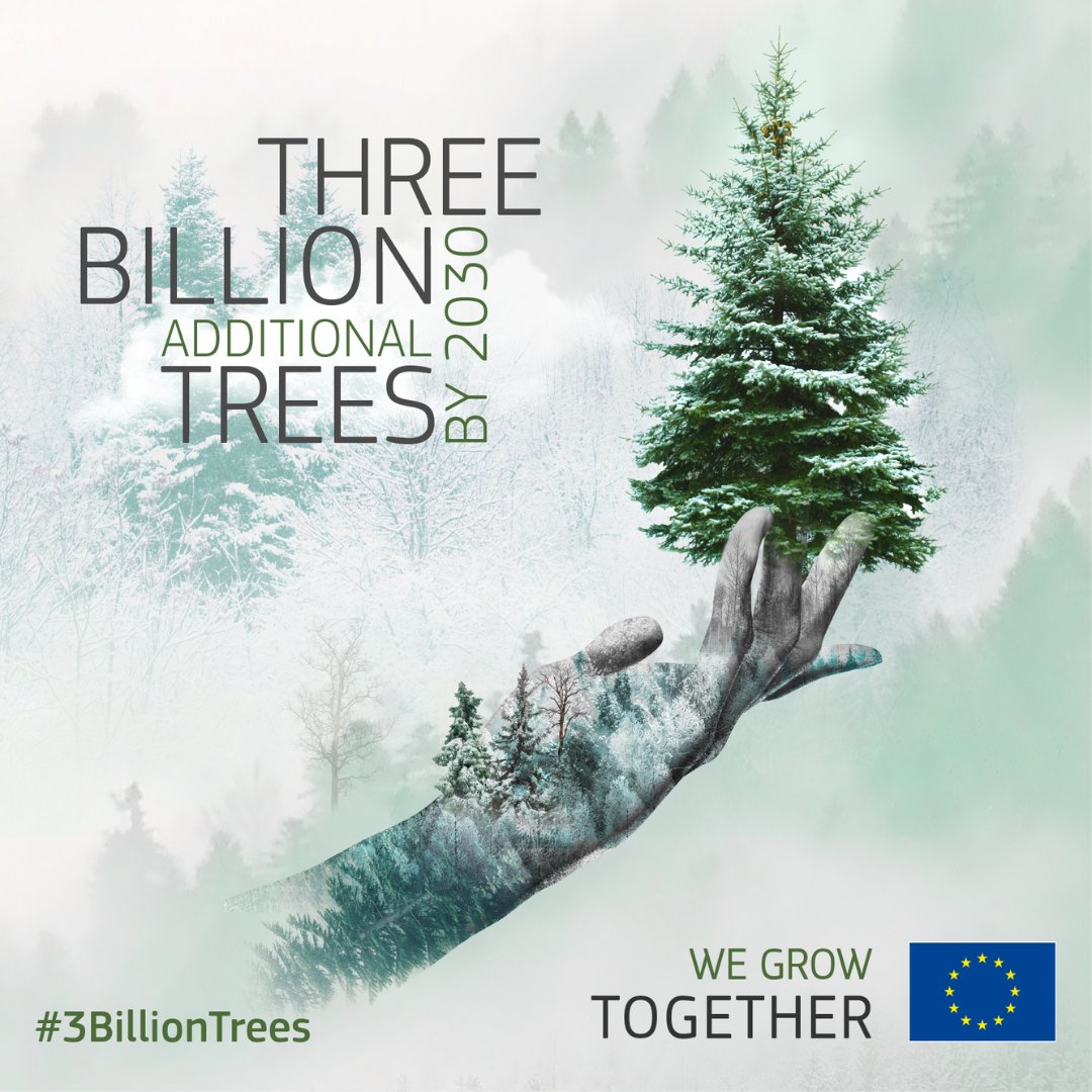 Let's start off the #NewYear2025 with a good deed #ForOurPlanet - Let's plant and care for a tree! 🌳🌲

Support your local tree-planting organisations and help us get to #3BillionTrees in Europe by 2030.

Together, we can make #EUForests thrive again 👉 europa.eu/!PvrVGK