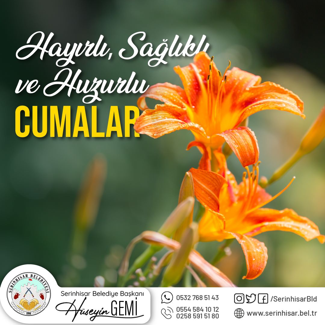İşlerimizden bereket, hanelerimizden huzur ve sağlık eksik olmasın. Günümüz Aydın Cumamız Mübarek Olsun.

#HayırlıCumalar
Hüseyin GEMİ
T.C. Serinhisar Belediye Başkanı