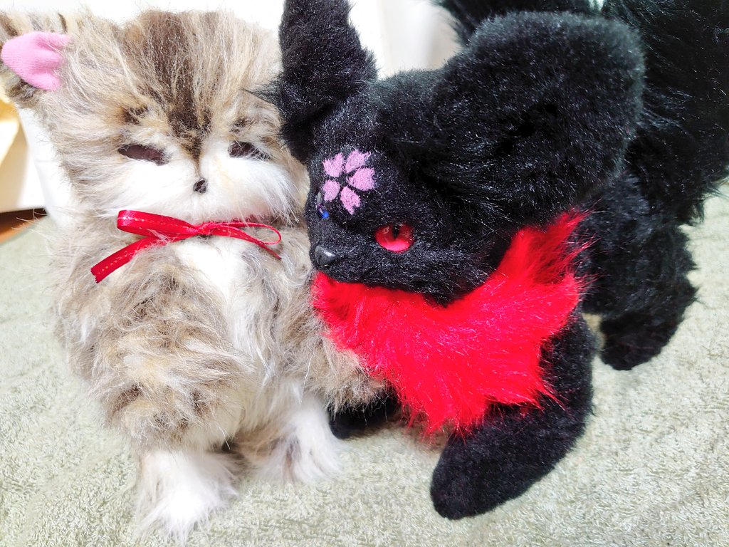ruriaoirotso92's tweet photo. 作家さんからフルオーダーした子のお披露目です✨
猫又でネコのようなキツネみたいな子をとお願いしましたら想像以上の子です!!
名前は楓奏(かなで)です🐱
ちょこちゃんとはすぐに打ち解けて仲良しです*(*´︶`*)*
#BAKDOLL
#獣化ふぇ https://t.co/Du1DaXyV8O