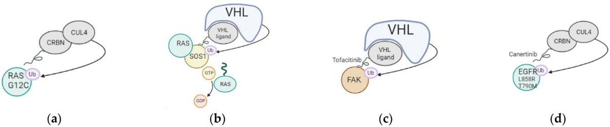 Encyclopedia MDPI tweet media