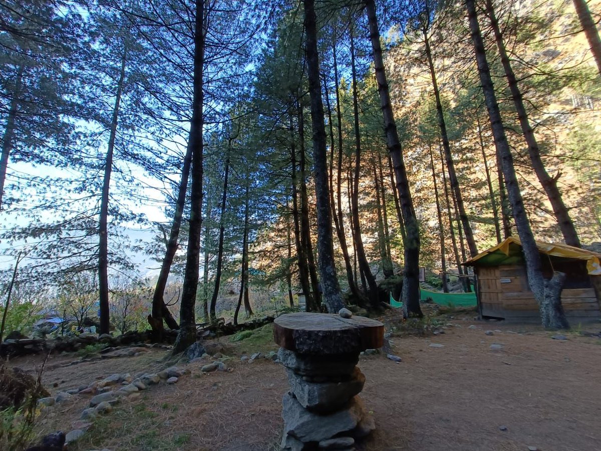 madhuvanti's tweet photo. Secluded place near Manali is your next place to relax, ...call us for booking +919909975567 https://t.co/Ywe3KojNJN
