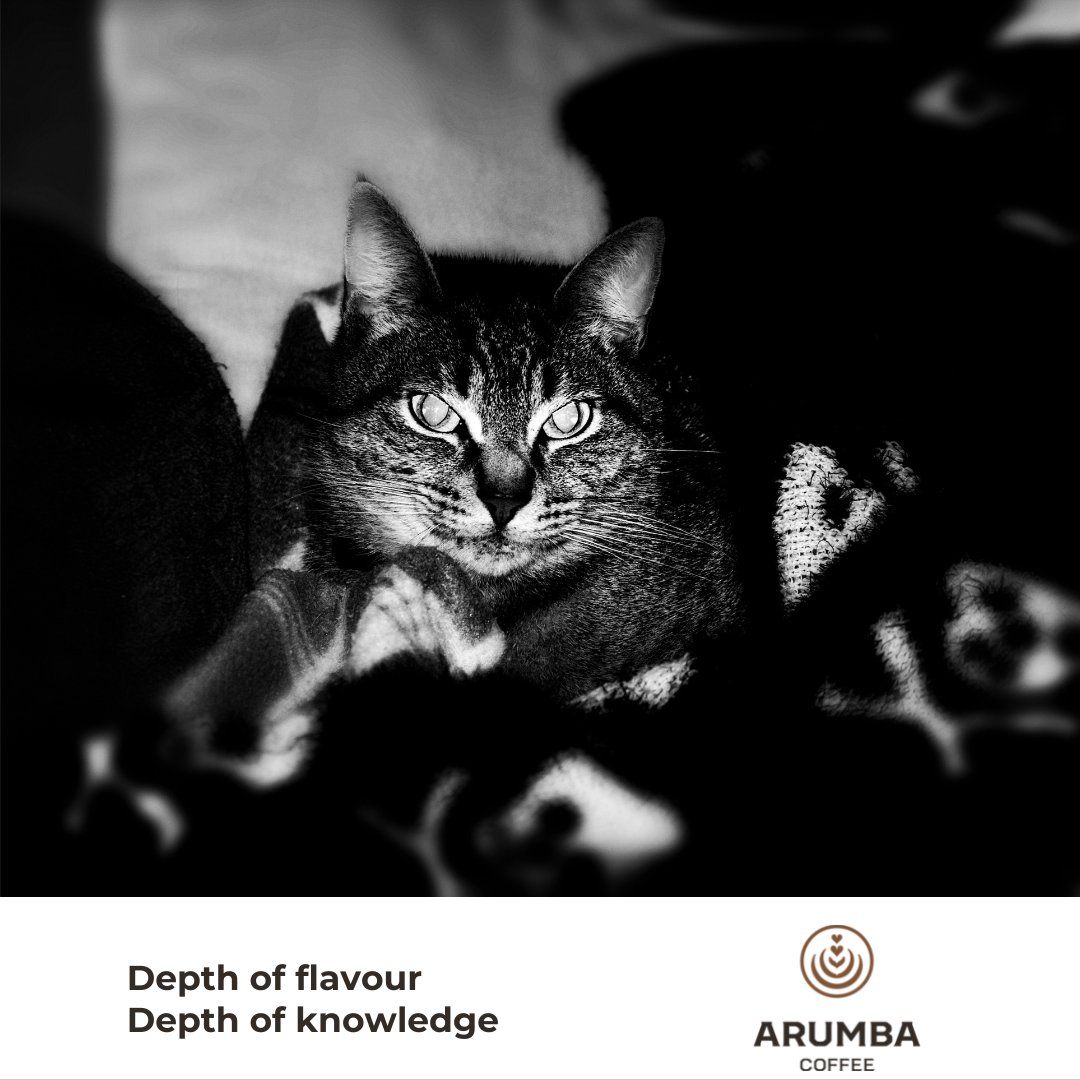 Friday the 13th has nothing on us before we've had our first cup of coffee! 

Fortunately, it only takes a few sips to get us from "scary" back to ready for whatever comes next.

#coffee #coffeelover #morningcoffee