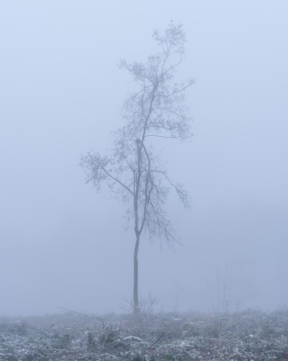 Sam Binding tweet media