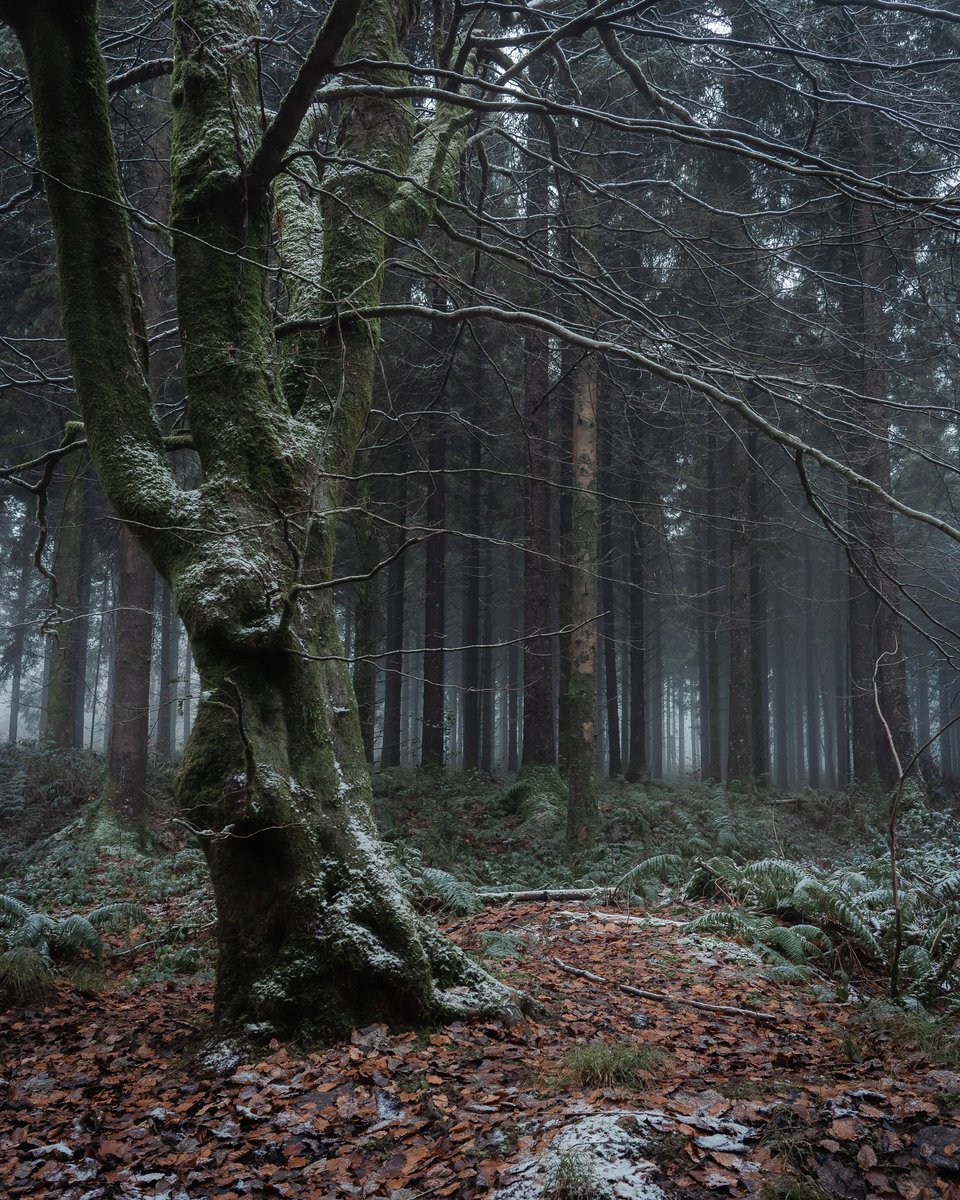 Sam Binding tweet media