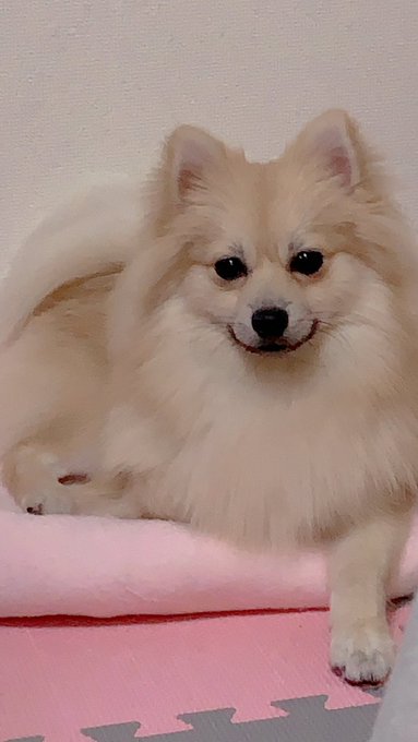 Twitterのコスプレ画像27