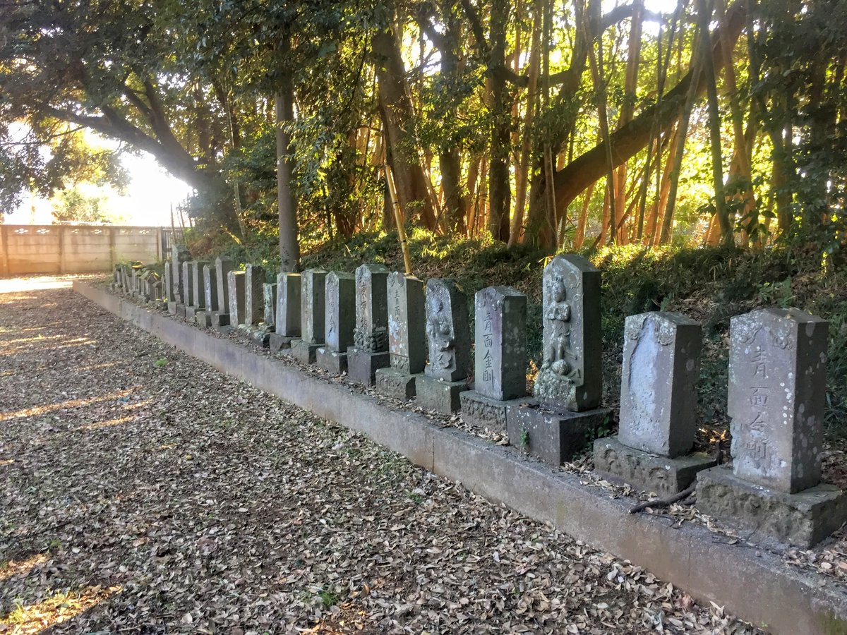numazuht's tweet photo. 〒273-0131 千葉県鎌ケ谷市軽井沢２００１−１ 八幡神社に多数有る石祠、石塔（灯籠含む）は43（市史）
最古は青面金剛供養塔で「下総印番郡軽食澤村」と記載などなど。https://t.co/J00R9xgAX2
#googleMaps #googleローカルガイド #鎌ヶ谷 https://t.co/aaVy3yUczB