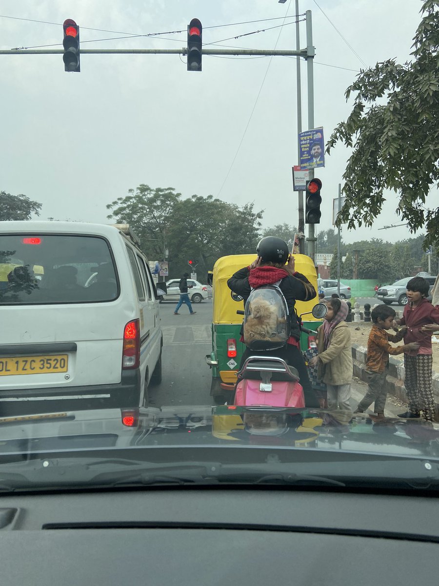a1purva's tweet photo. #CatintheBag. #OnlyInDelhi https://t.co/WtxeKTPsgX
