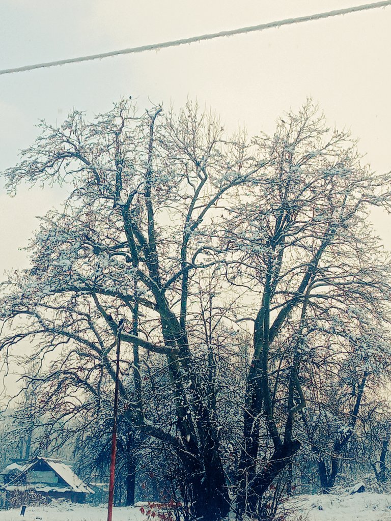 SheikhT39287458's tweet photo. Beauty of kashmir ❤❤❤ https://t.co/2SMDeJ9QS8