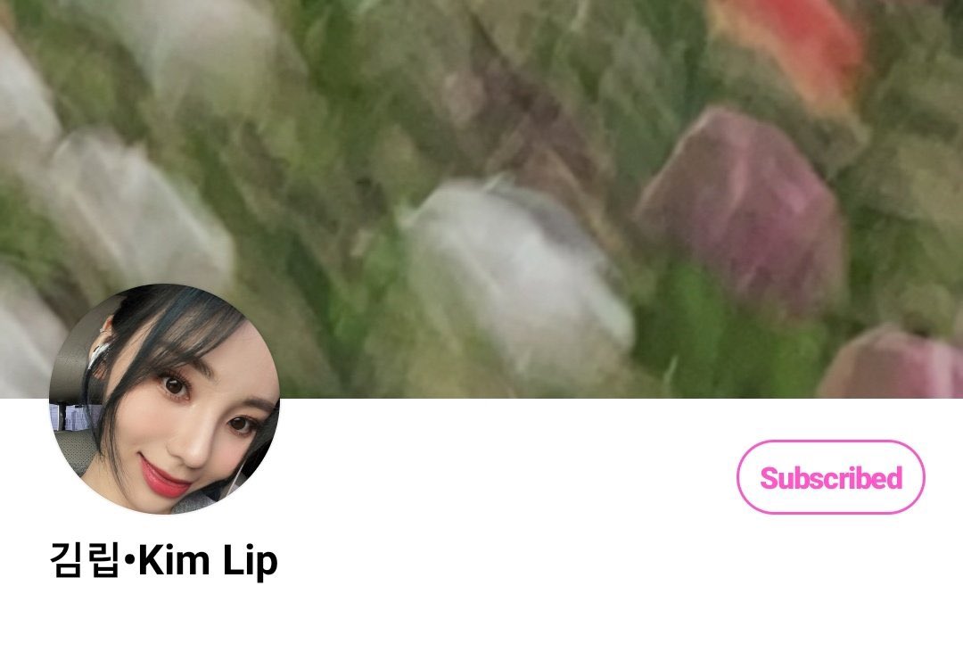 hee_lip's tweet photo. lipsoul as each other for april fools day 2022 https://t.co/D2IVmvrFVz