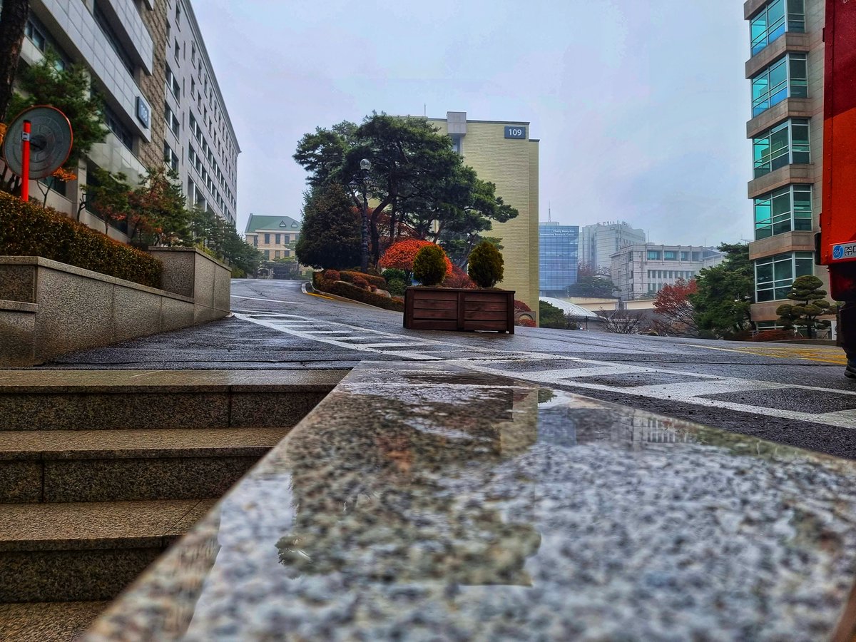 IamCalmy's tweet photo. A beautiful day ✨️
Foggy day with drizzling
Romantic enough
One must enjoy it with a cup of tea, coffee, fritter (pkore), and may be a good company 😊
#foggy #Raining #RainingDays #Nature #NaturePhotography #MobilePhotography https://t.co/6zh1Rz82uH