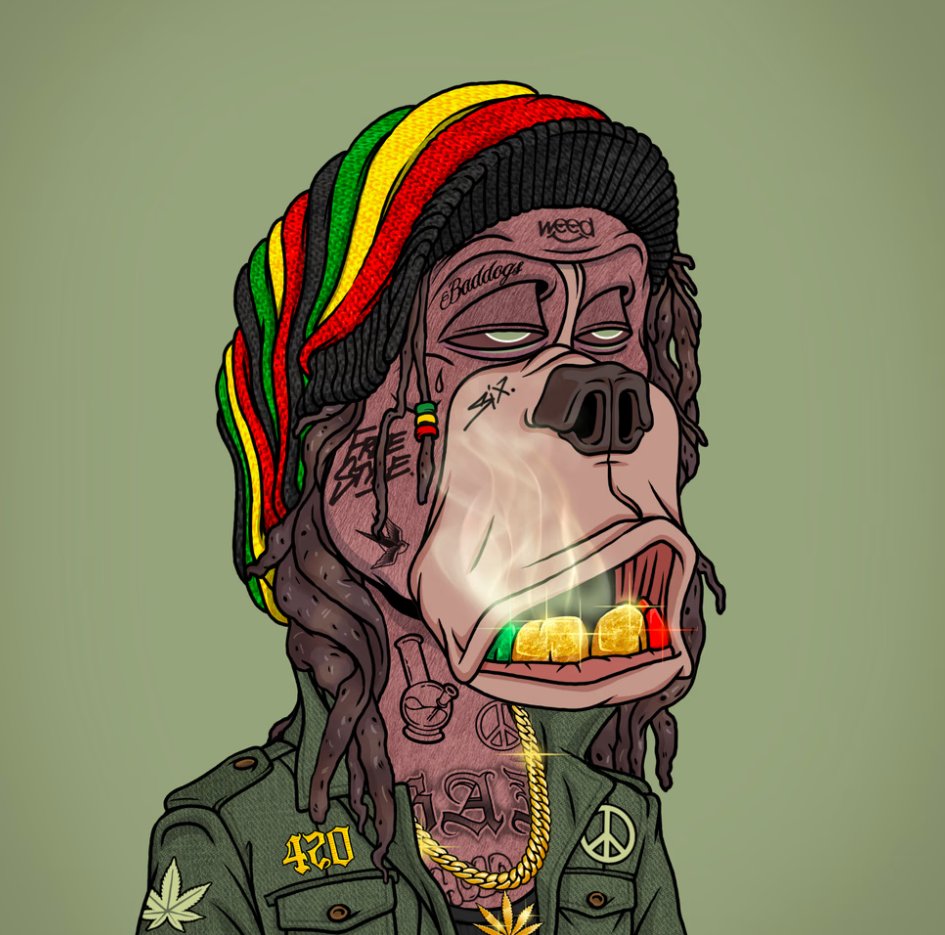 Pushthekush2's tweet photo. Few projects and communities continue to grow and stay relevant...@BadDogsCompany is one that continues to build and grow daily...no empty promises or missed deadlines..now's the time to build with us and be a part of the process #BDCO https://t.co/QBZaZCGZiX