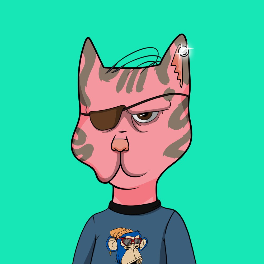 dunkin_goat's tweet photo. @Darkwater_777 @itsnala @BossCatRC #PinkCatGang https://t.co/CALSZrGD4G