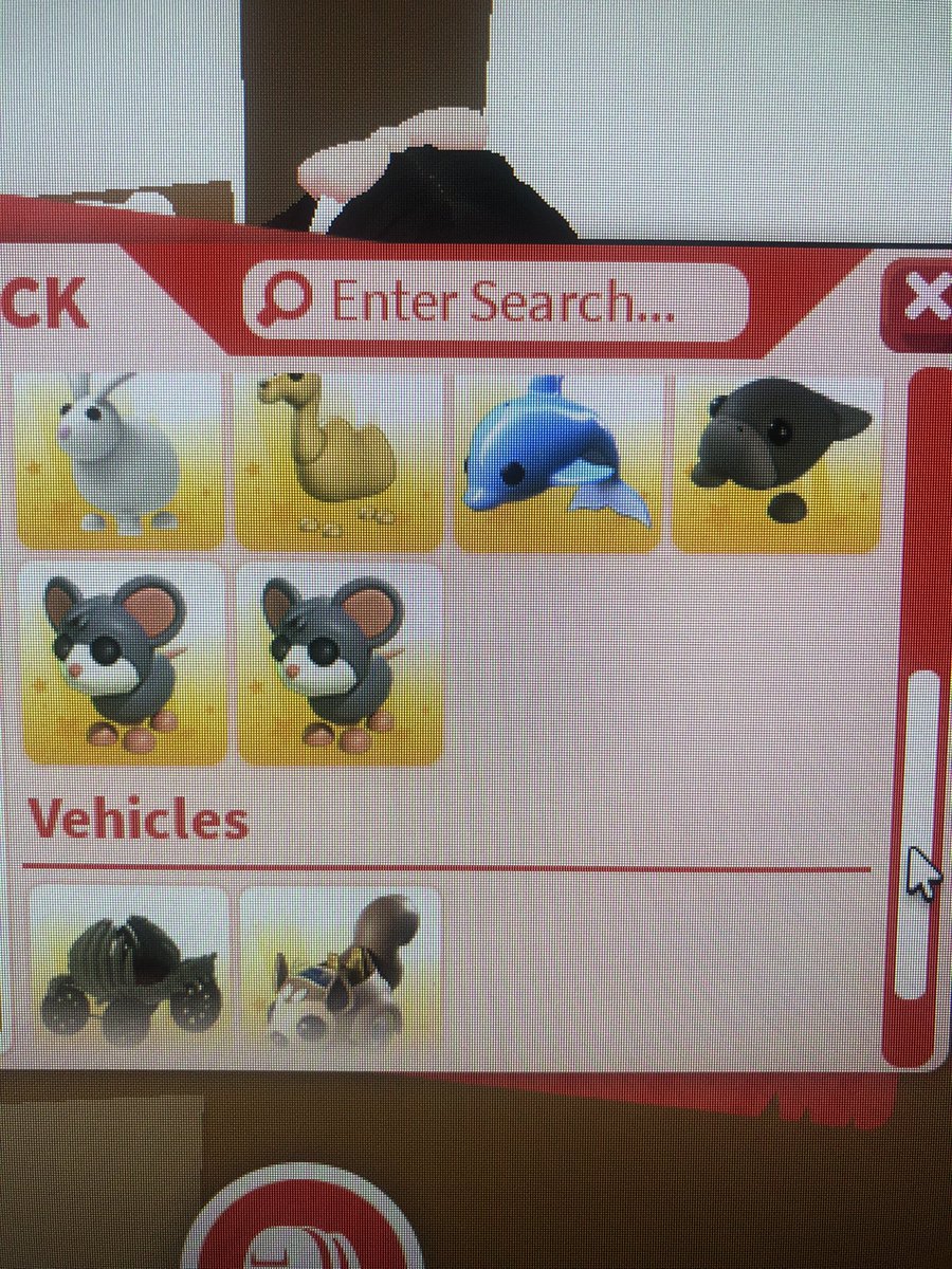 gysple's tweet photo. looking for anyone who’s willing to give me a normal black chow-chow for anything below:

theyre my best pets/items :’)

#Adoptmetrade #adoptmeoffer #adoptmecrosstrades #adoptmecheck #adoptmegws #adoptmeroblox #adoptme #adoptmeoffers https://t.co/XLo0pdY02x