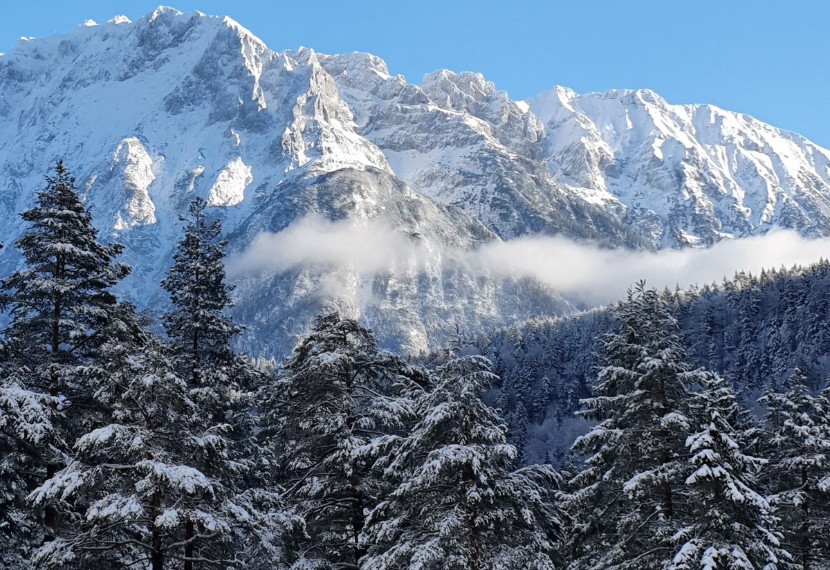 MarcoCataldo_'s tweet photo. Winterkleid ❄️⛄️ man sollte sich die Zeit nehmen für so viele Details 👉🏼🍀 guten Morgen 👋🏼☕️ #natur #berge #oberbayern https://t.co/TQUc6fx406
