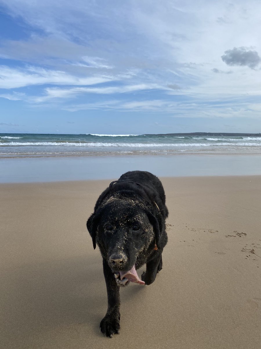 We’re both loving our Friday afternoon dip