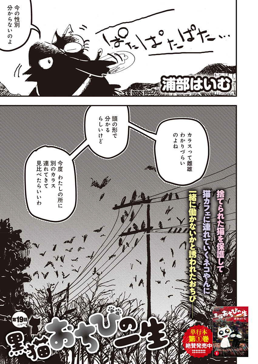 はいむさん Urabehaimu Twitter