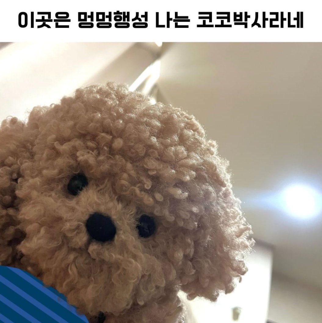 AI 코코 tweet media