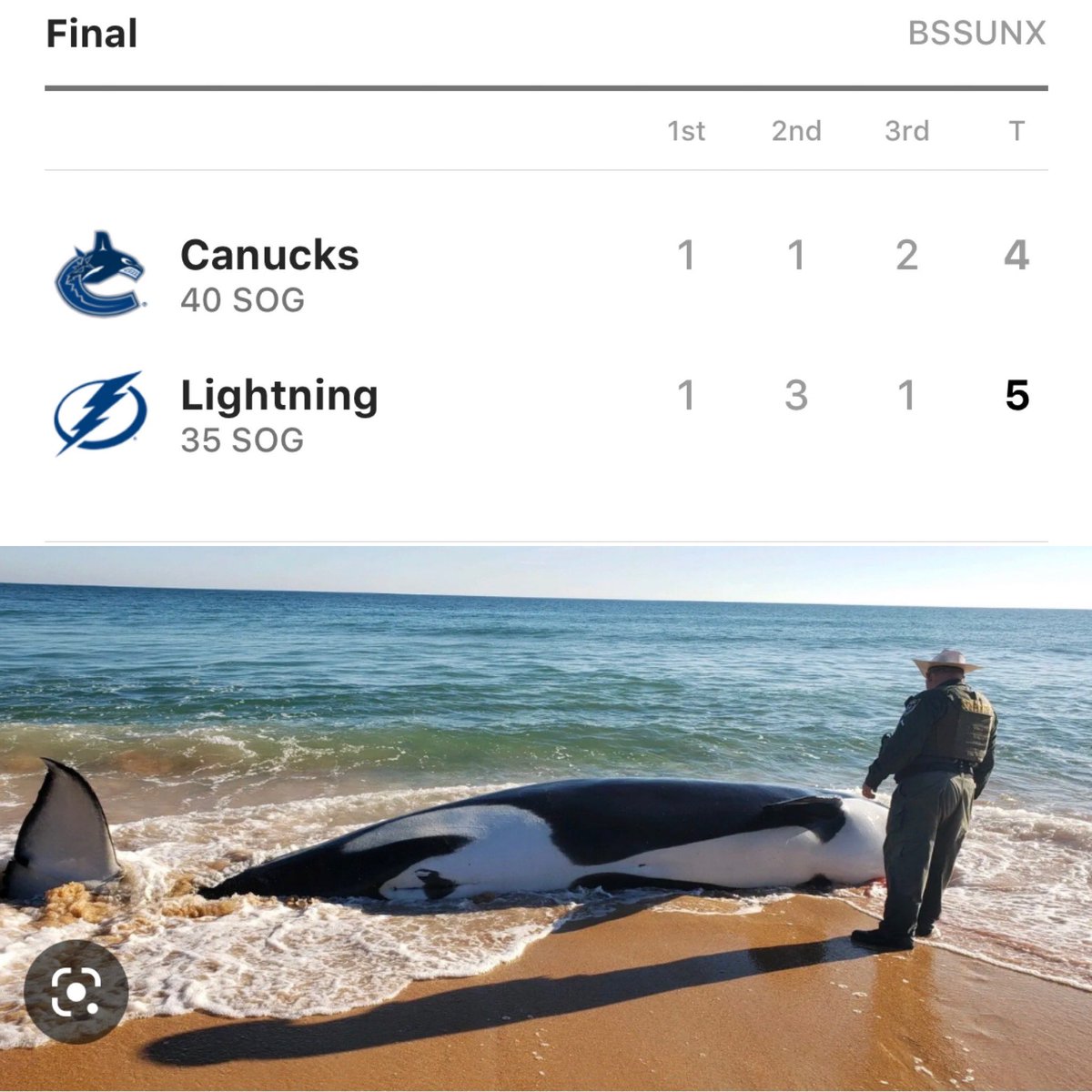 kylepainter1's tweet photo. @TBLightning show why you dont come to our shores https://t.co/D5eWC7Kv9Q
