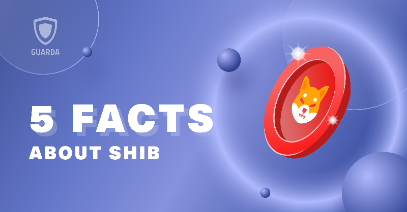 GuardaWallet's tweet photo. #SHIB is welcoming 2023 with a bang! 🚀

With the $SHIB burn rate increasing, new partnerships on the way, and support from the loyal #SHIBARMY, the future is looking good for #Shiba Inu 🐕

Check some necessary facts on @shibtoken ecosystem in the thread below 🧵