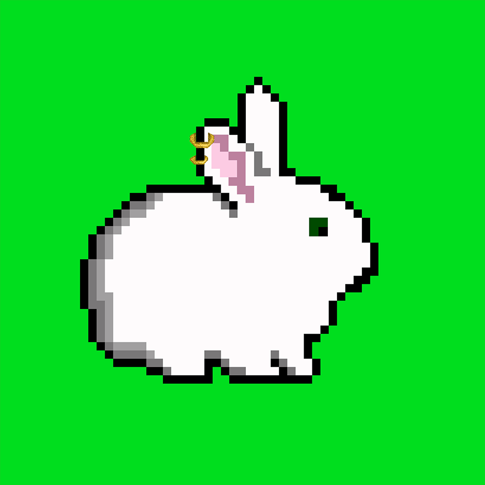 RabbitB | MINT IS LIVE 🌺🐰 tweet media
