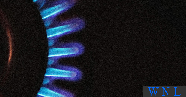 wikinews.live/articles/archi… --> The Gas-Stove Debate Exemplifies the Silliest Tendencies of American Politics