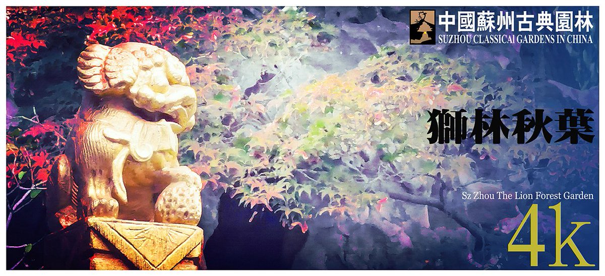 GardenArtof's tweet photo. Classical Garden of Suzhou Appreciation Autumn Leaves in the Lion GroveGarden https://t.co/Jw3uysZHuI @YouTube #Suzhou #artofgarden #artwork #ChineseNewYear #Chinese #garden #gardenlife #ancient #autumnfall #classicalgarden #Travel #landscape #landscapedesign #spaces #spacedesign https://t.co/B83JAdT1HD