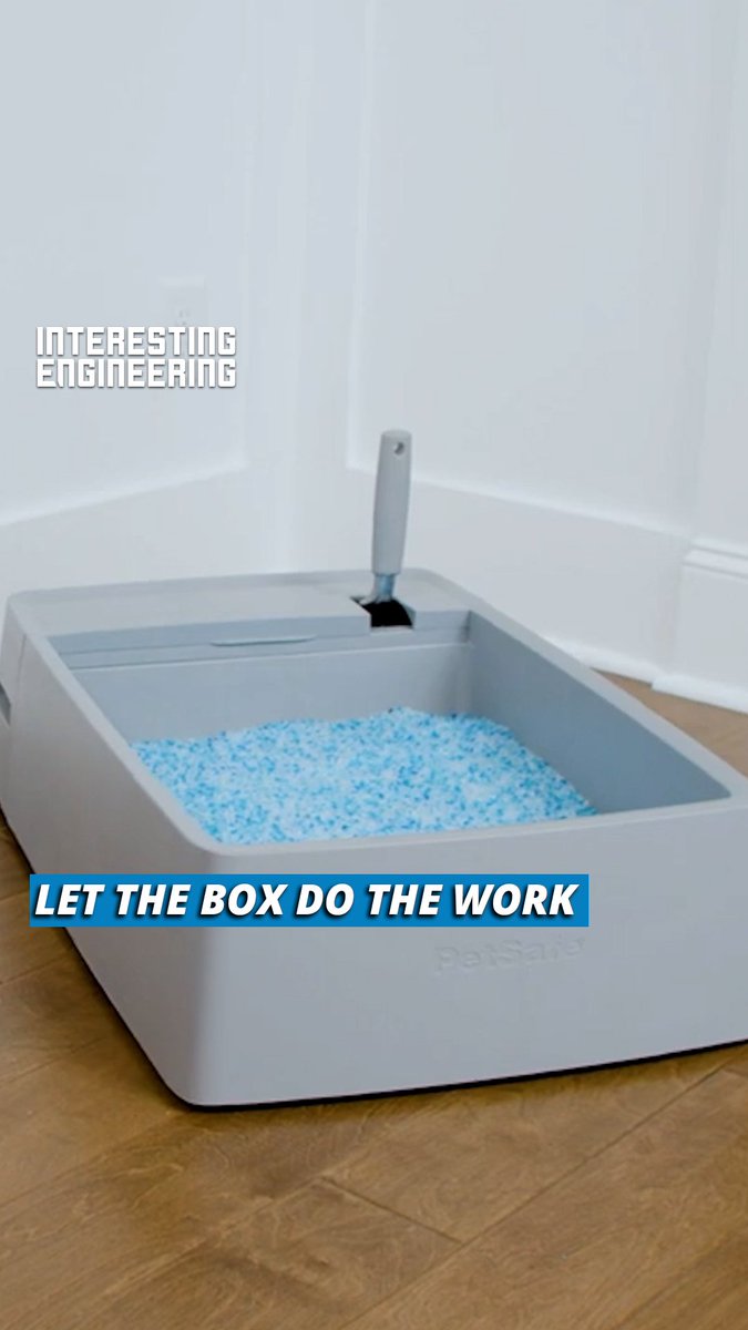 Interesting Engineering on Twitter "You don’t have to scoop kitty