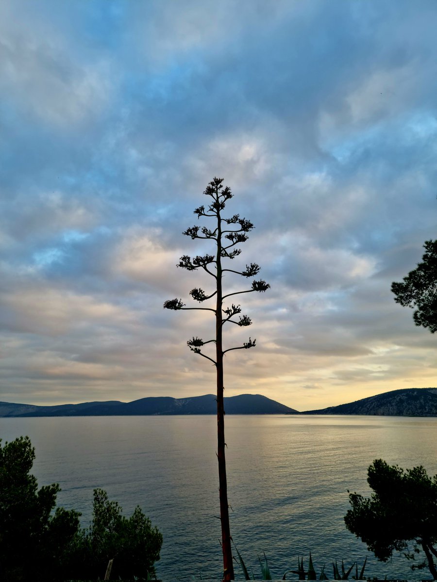 #Καλημερα #paradiseonearth <a href="/VBougioura/">Vivi Bouyioura</a>