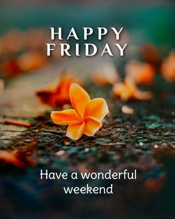 Friday .... Time to make stories for Monday 
Happy Friday and make it a good one!